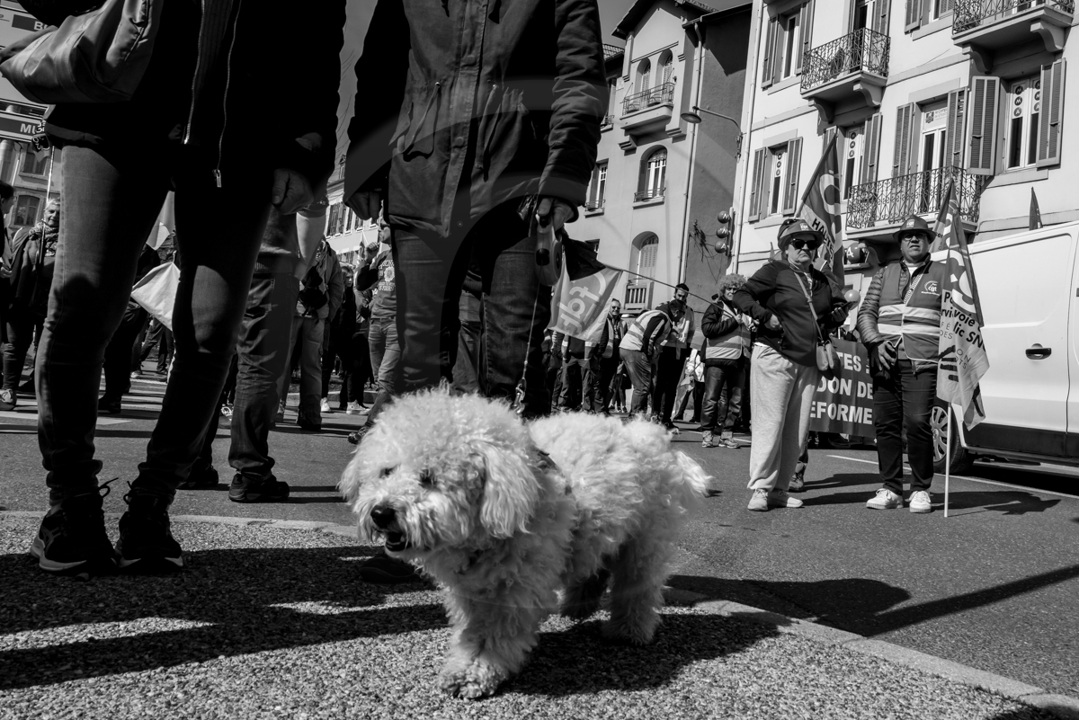 28 mars 2023 : Manifestation contre la réforme des retraites à Gap