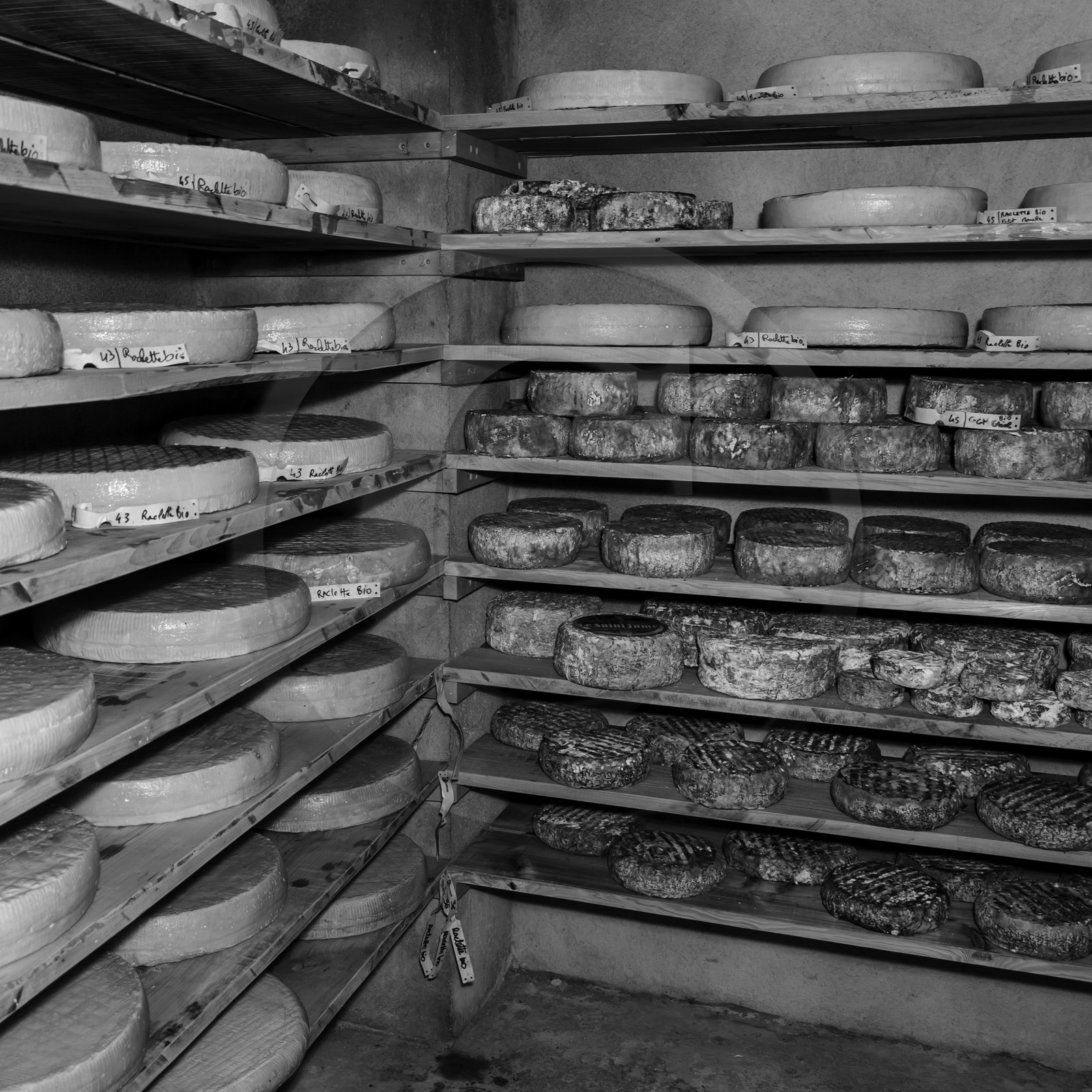 Le GAEC des Counières