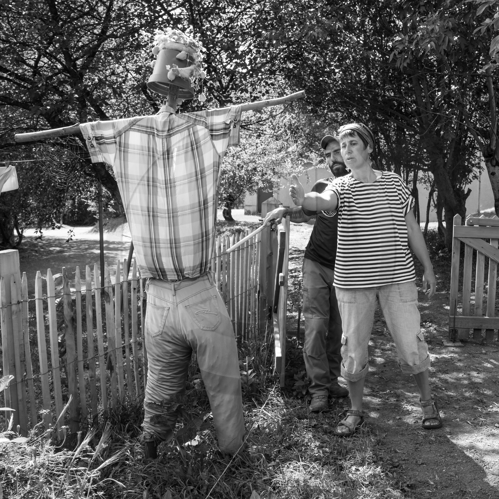 13 septembre 2017 - Chemins - Graines