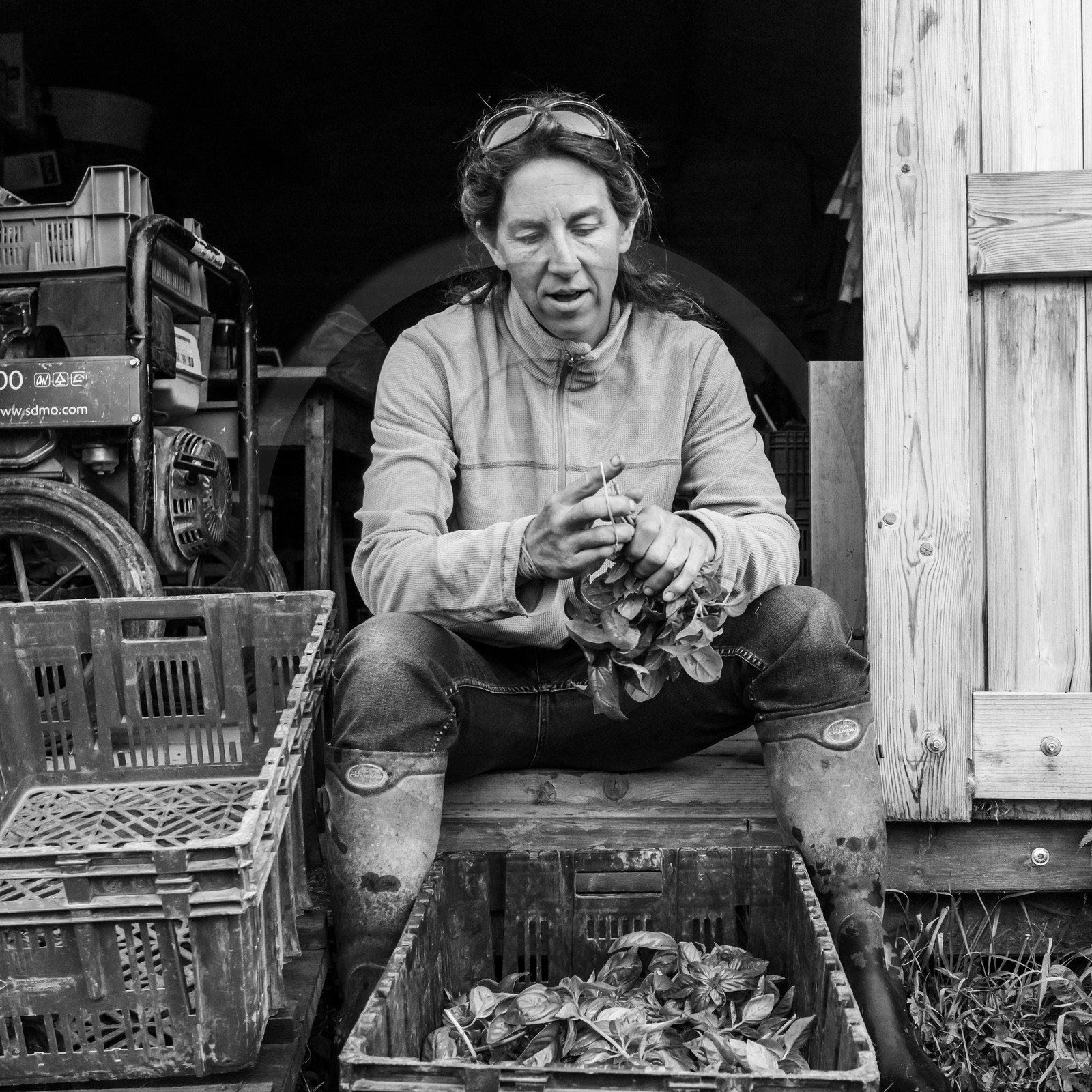 Maraichage biologique dans le Champsaur