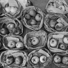 27 octobre 2019 : pommes, soupes et gâteaux