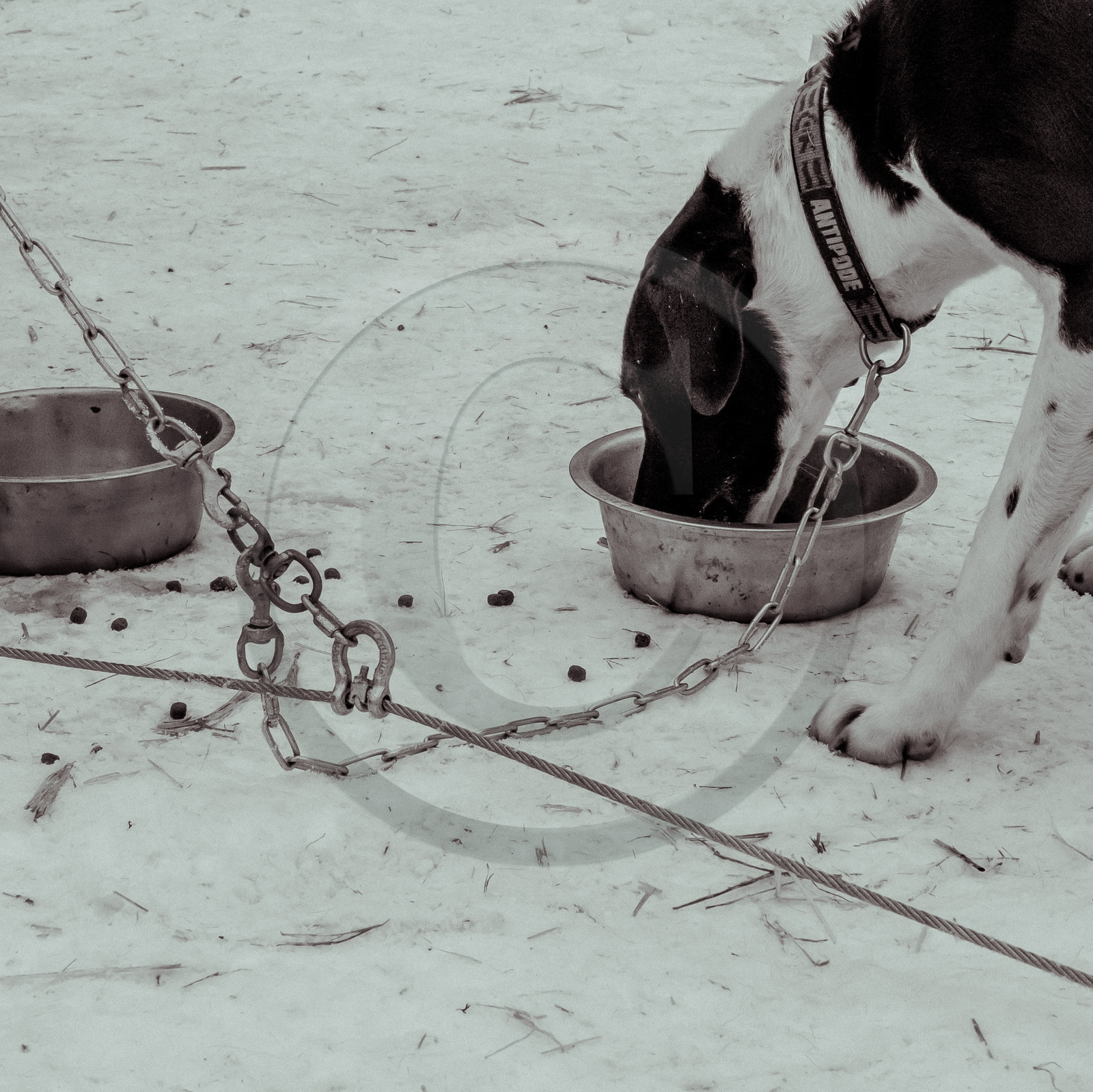 La Valgaude Traineau 2015