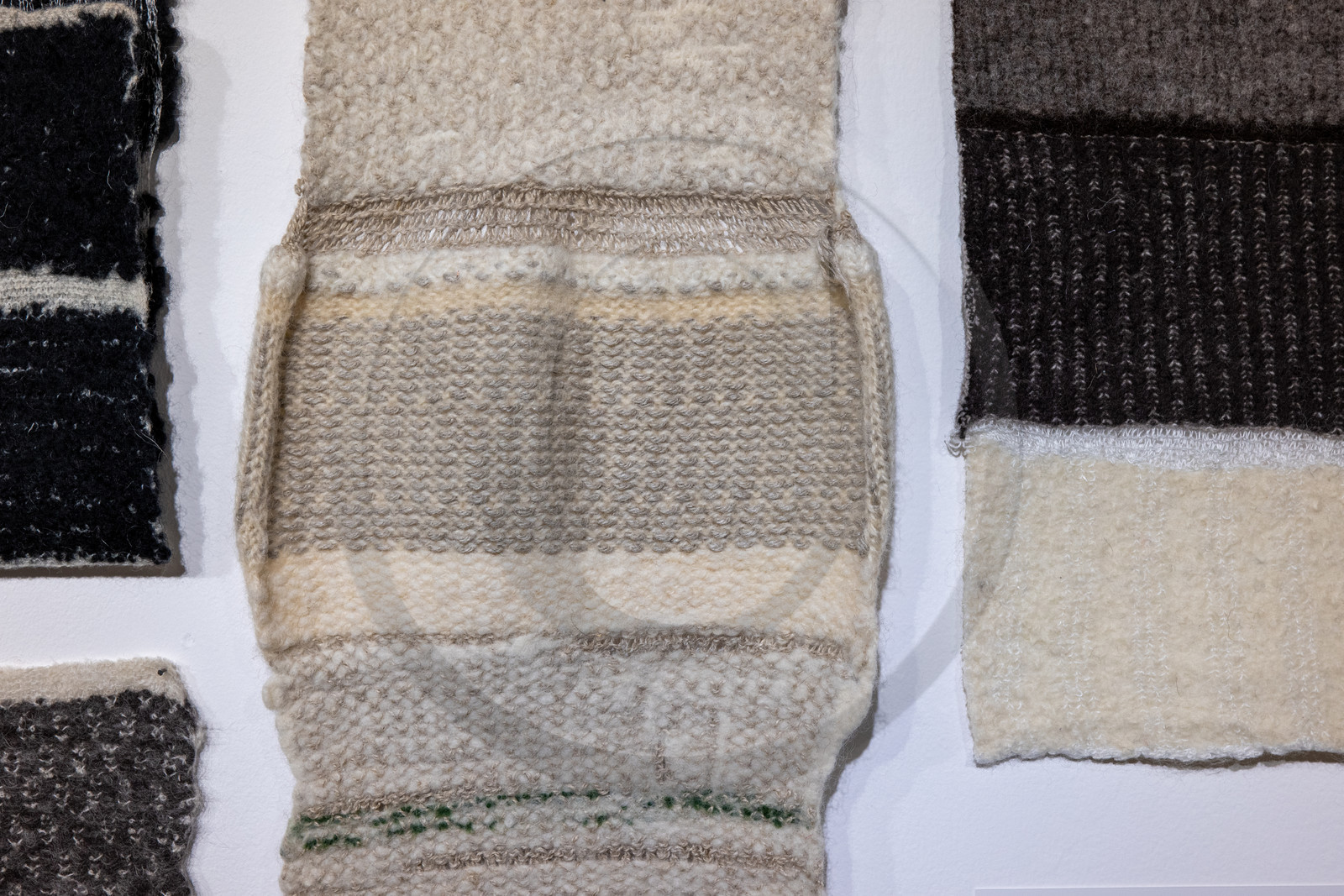 Expositions à la maison du Berger - Champoléon