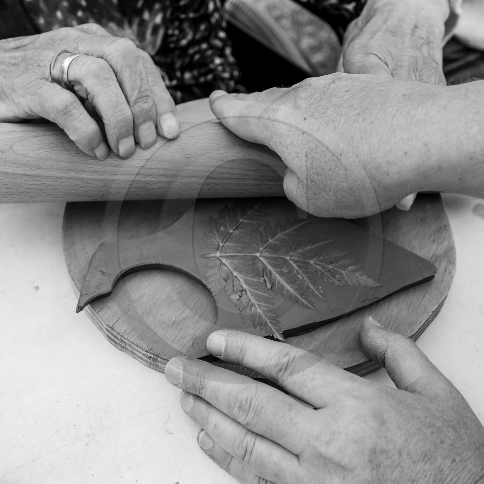 31 mai 2021 : Journée des aidants