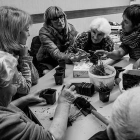 Atelier repiquage de plants de ciboulettes - 05 04 2017