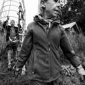 21 août 2019 : installation d'une oeuvre en bois flotté