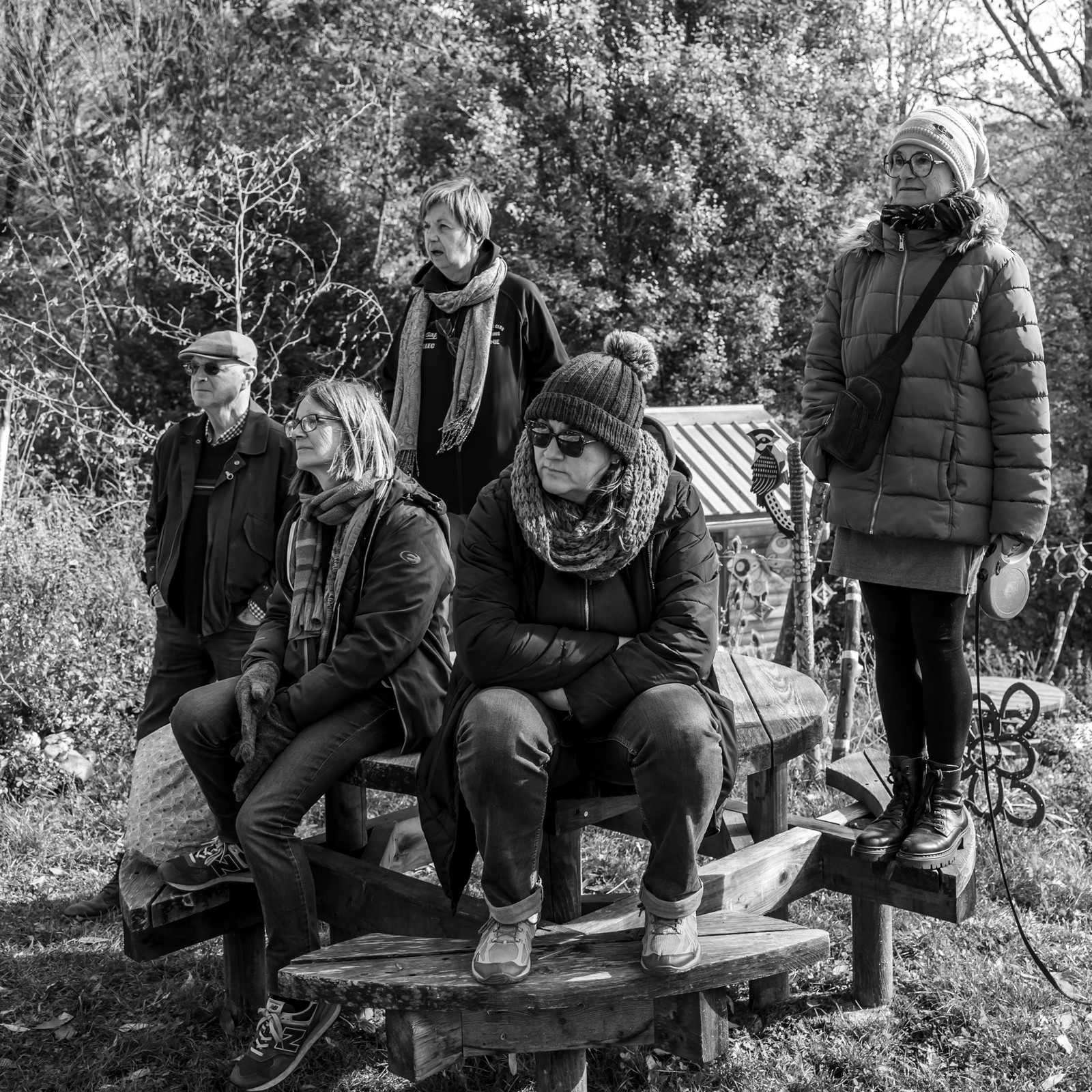 26 octobre 2025 : Les oiseaux de trottoir