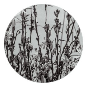 Les instants Camargue