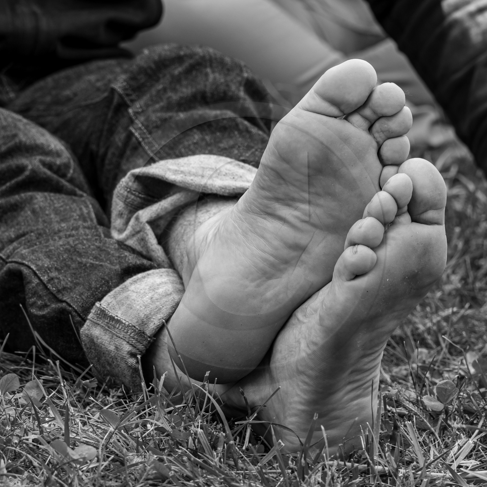 14 juin 2023 : Philippe Séranne et David Aubaile