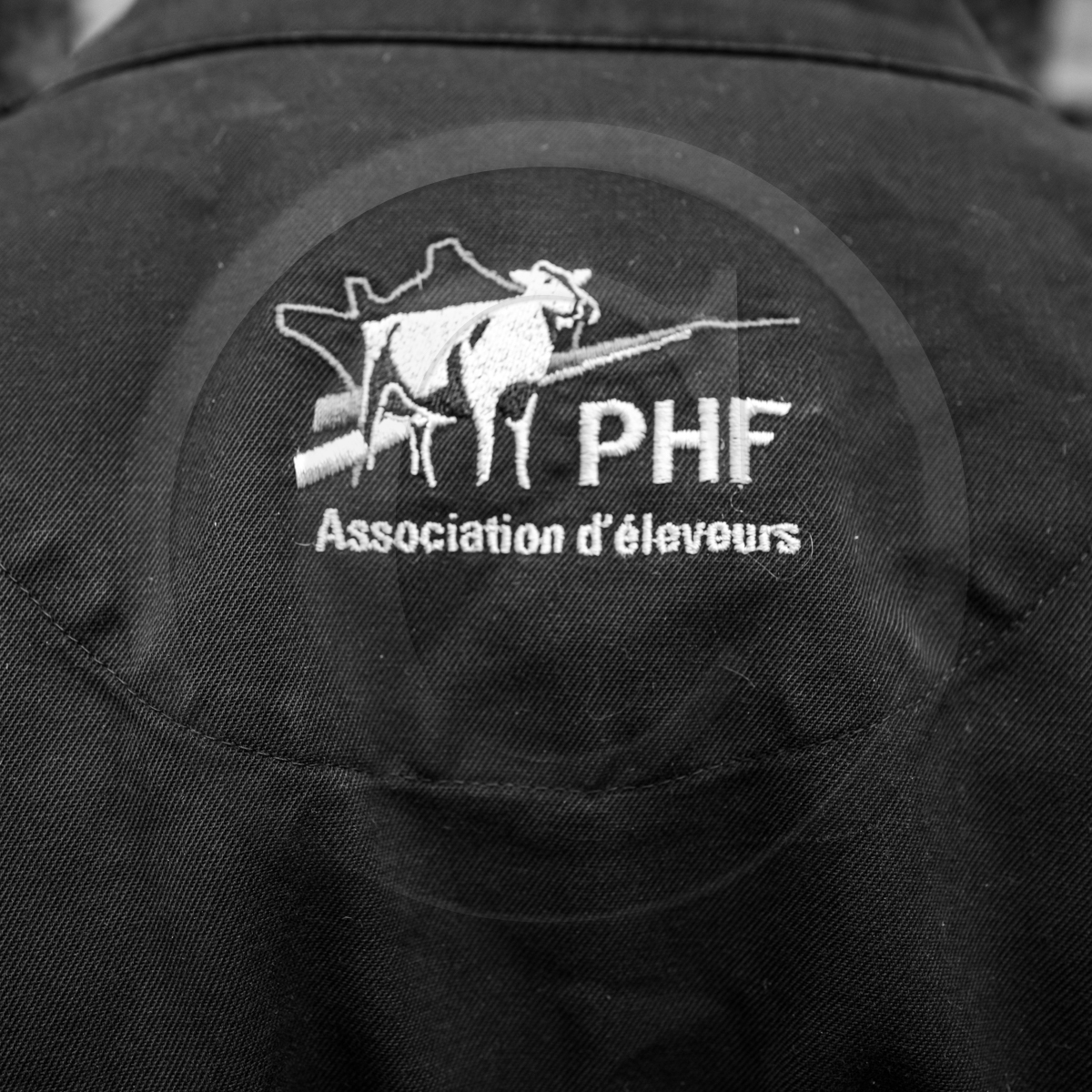 Rencontres paysannes à Saint-Bonnet en Champsaur