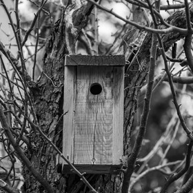 20 avril 2022 : des contes, des pommes de terre et un petit café