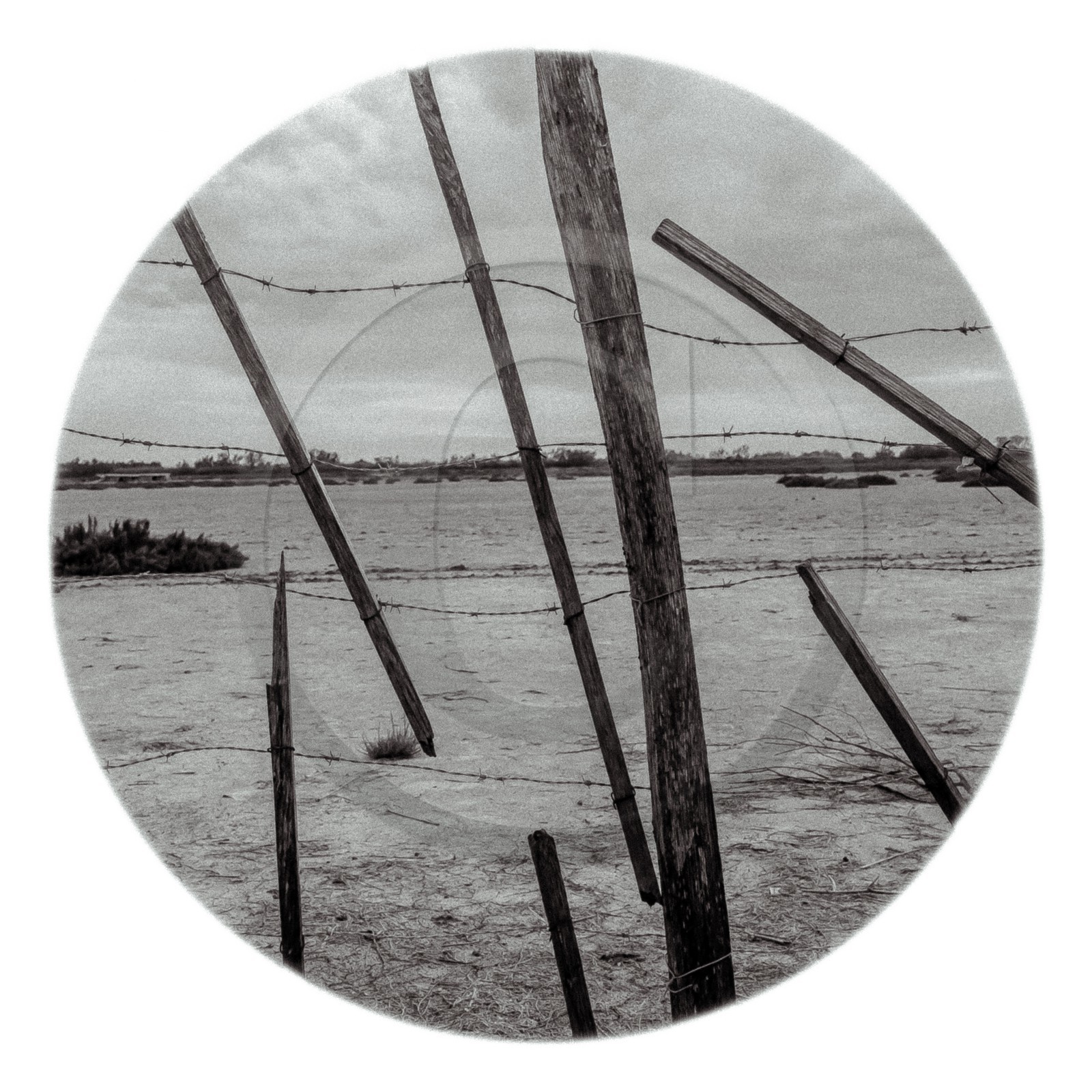 Les instants Camargue