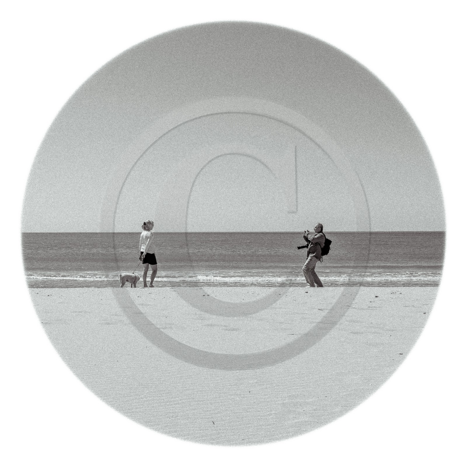 Les instants Camargue