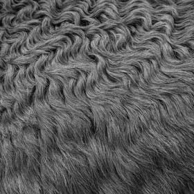 L'asinerie Le sentier des ânes