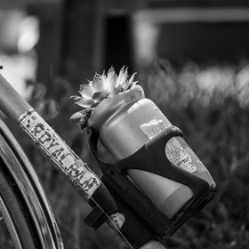 10 juin 2022 : 3ème journée des aidants