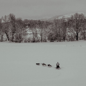 La Valgaude Traineau 2015