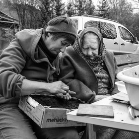 03 mai 2017 - Bac, semis et plantations