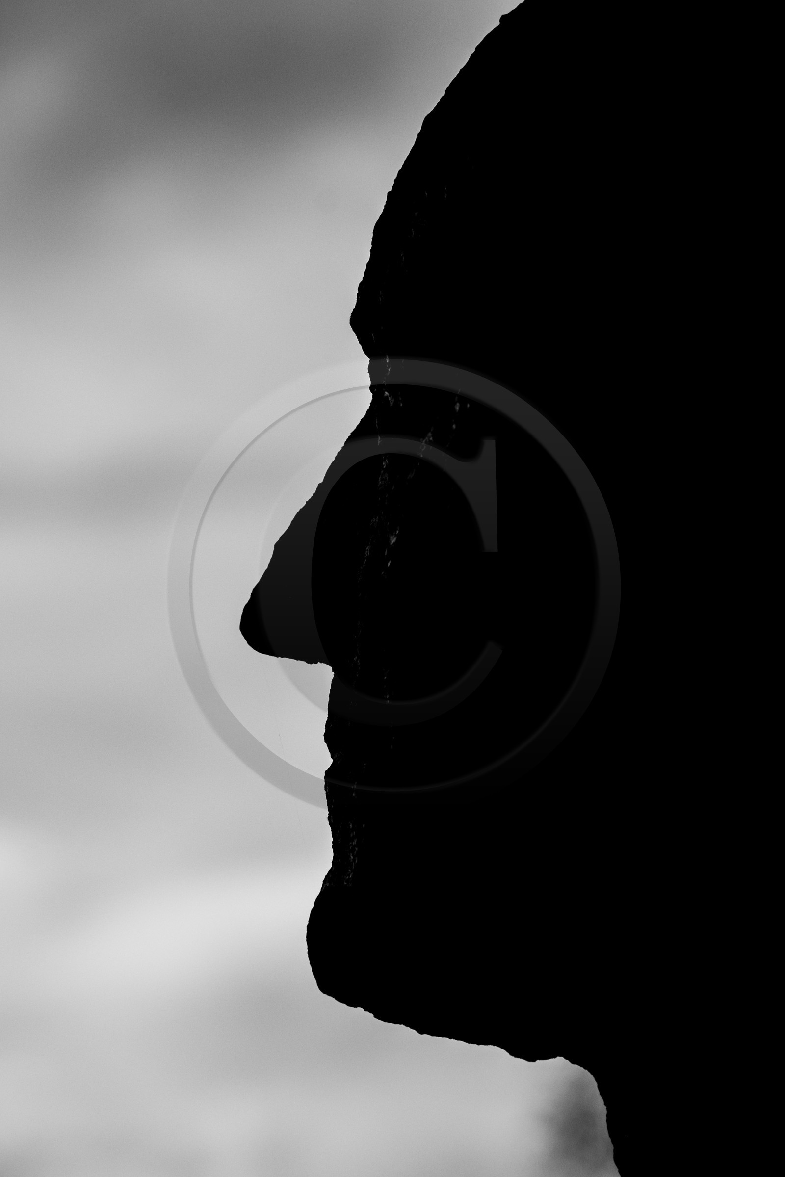 Exposition La forêt d'hommes, une création de Barbara Fougnon, artiste plasticienne