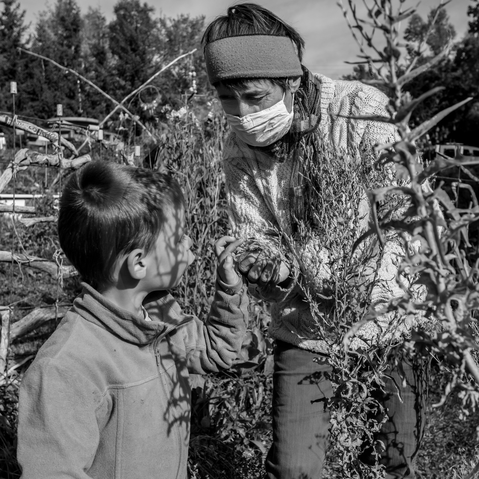 Semis, tournesols et jeux