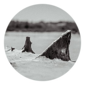 Les instants Camargue