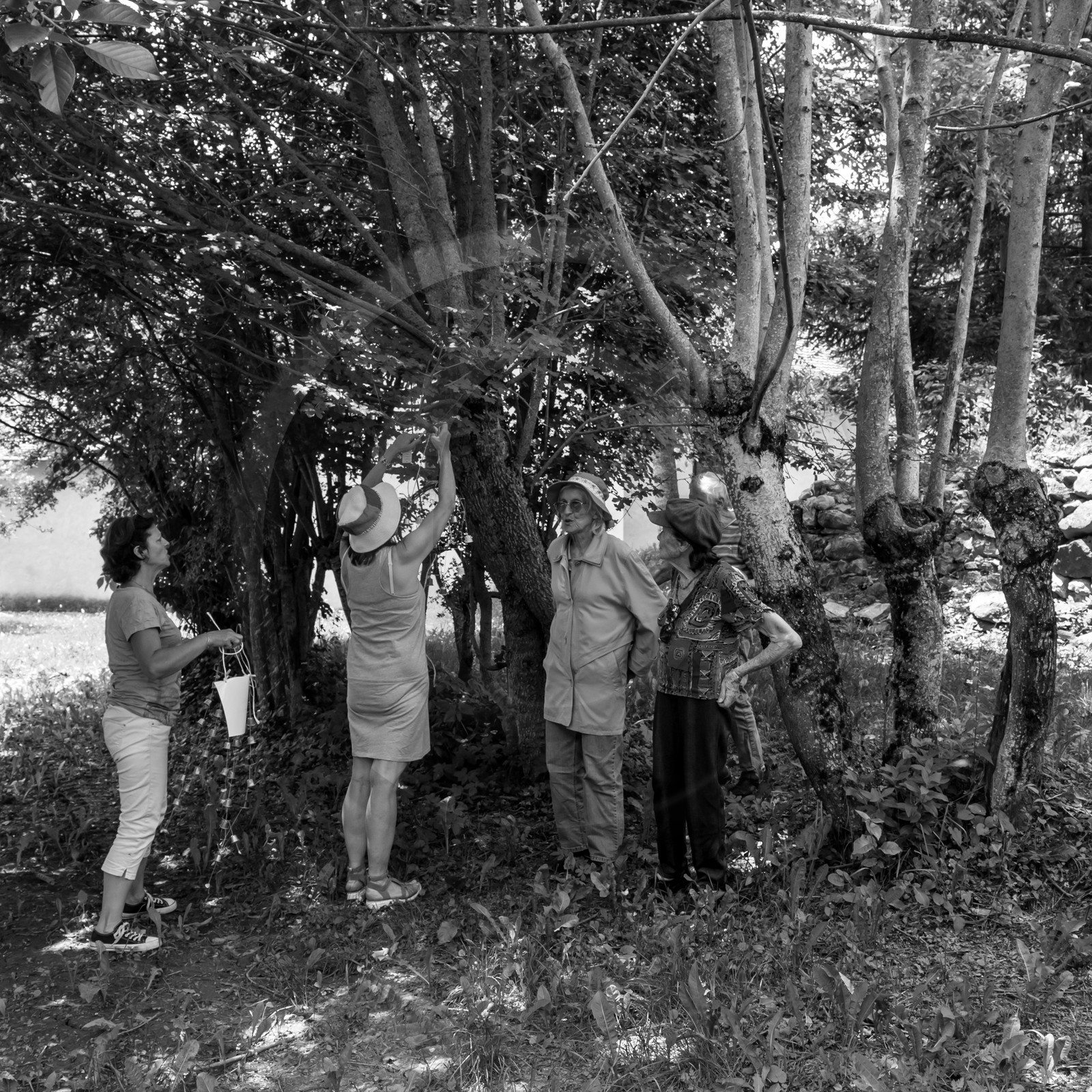 Une après-midi au jardin