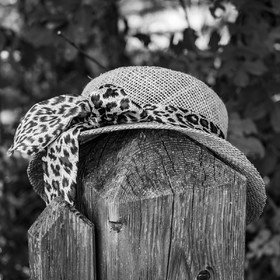 La cantine de Bernie