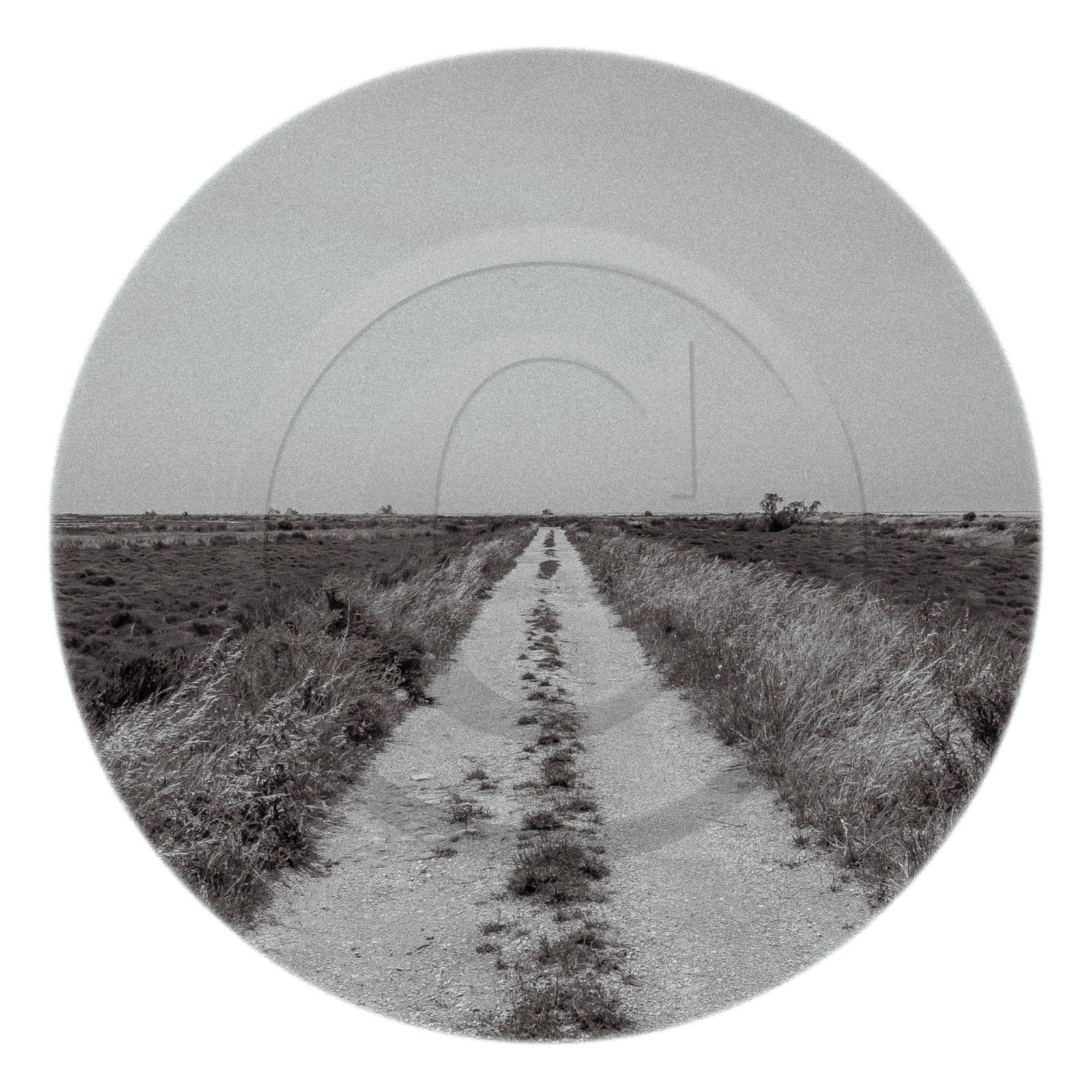 Les instants Camargue