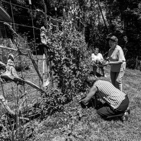 30 juin 2021 : Jardinage, jeux de cartes, masques