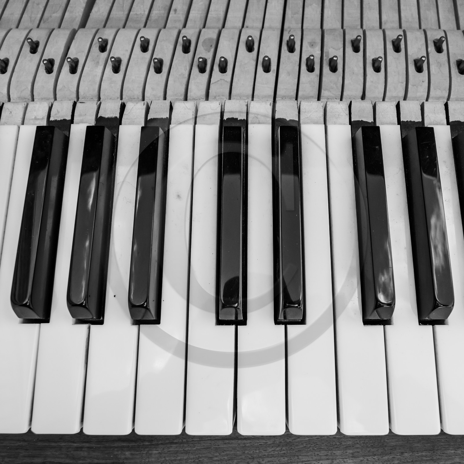 Animation musicale avec Philippe Séranne