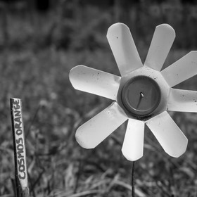 12 juin 2019 : Après-midi au jardin