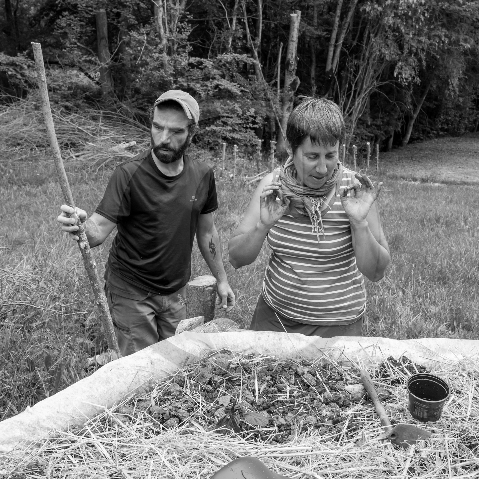 31 mai 2017 - Jardinage