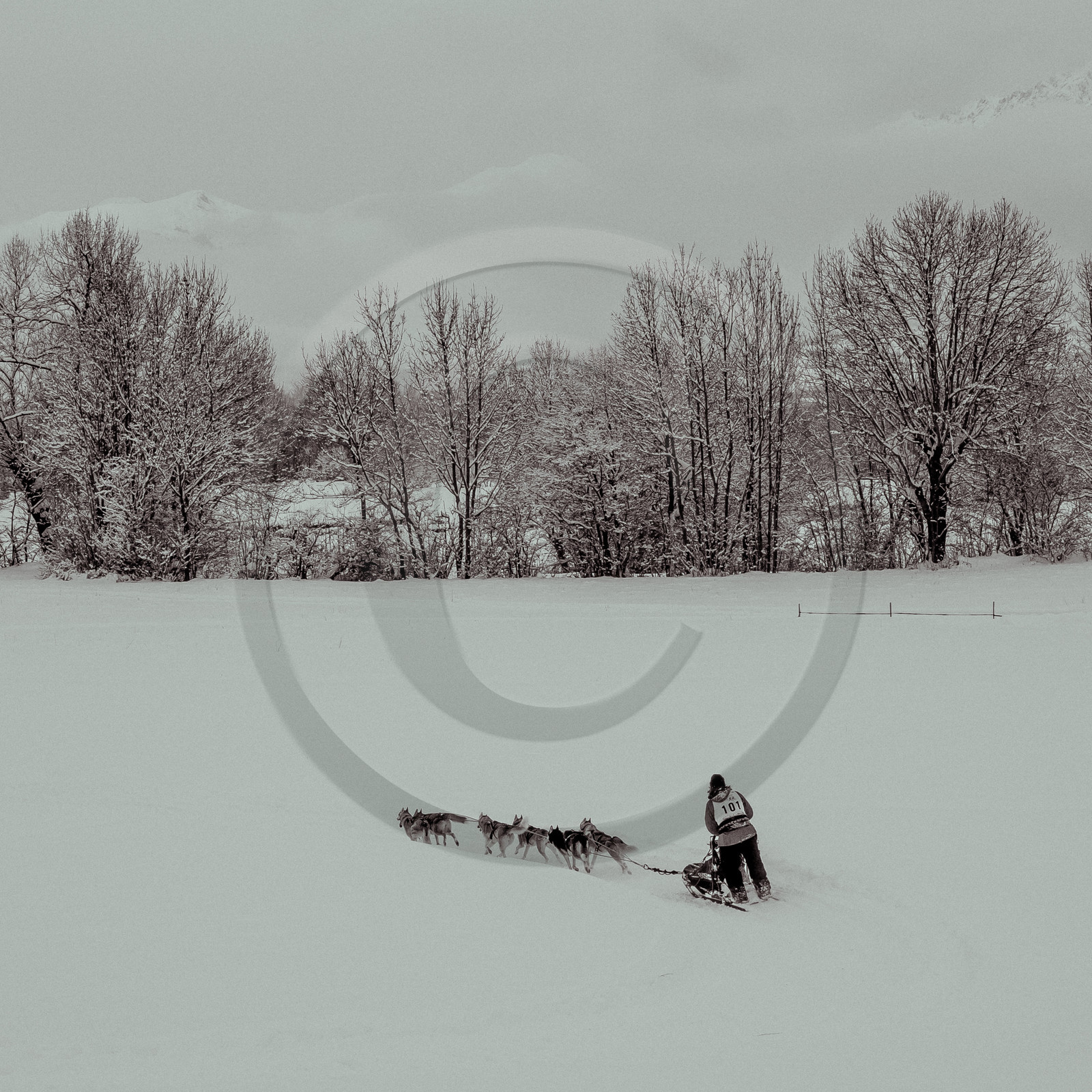 La Valgaude Traineau 2015
