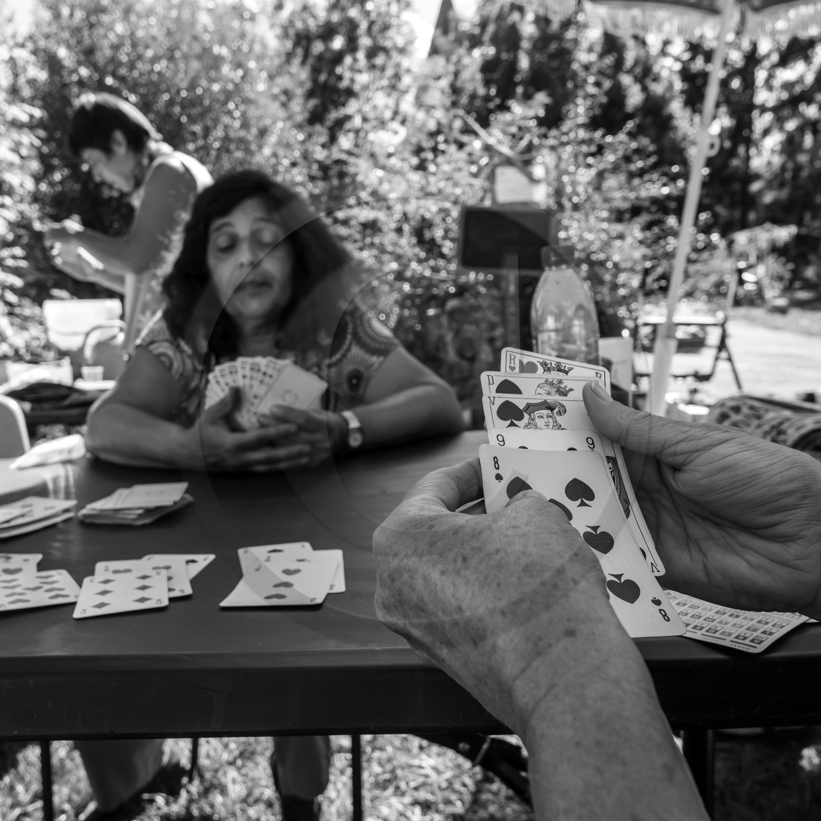 Activités au jardin