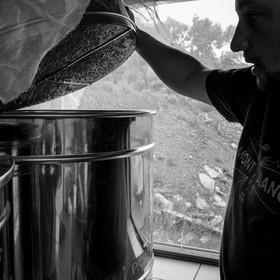 L'extraction du miel