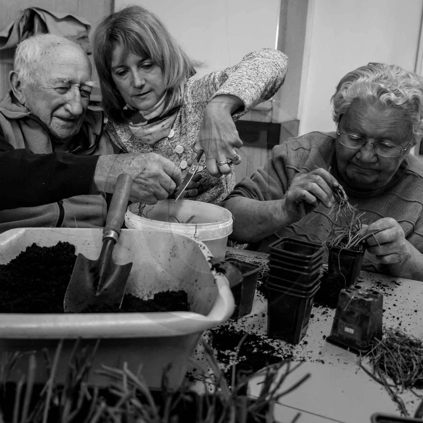 Atelier repiquage de plants de ciboulettes - 05 04 2017