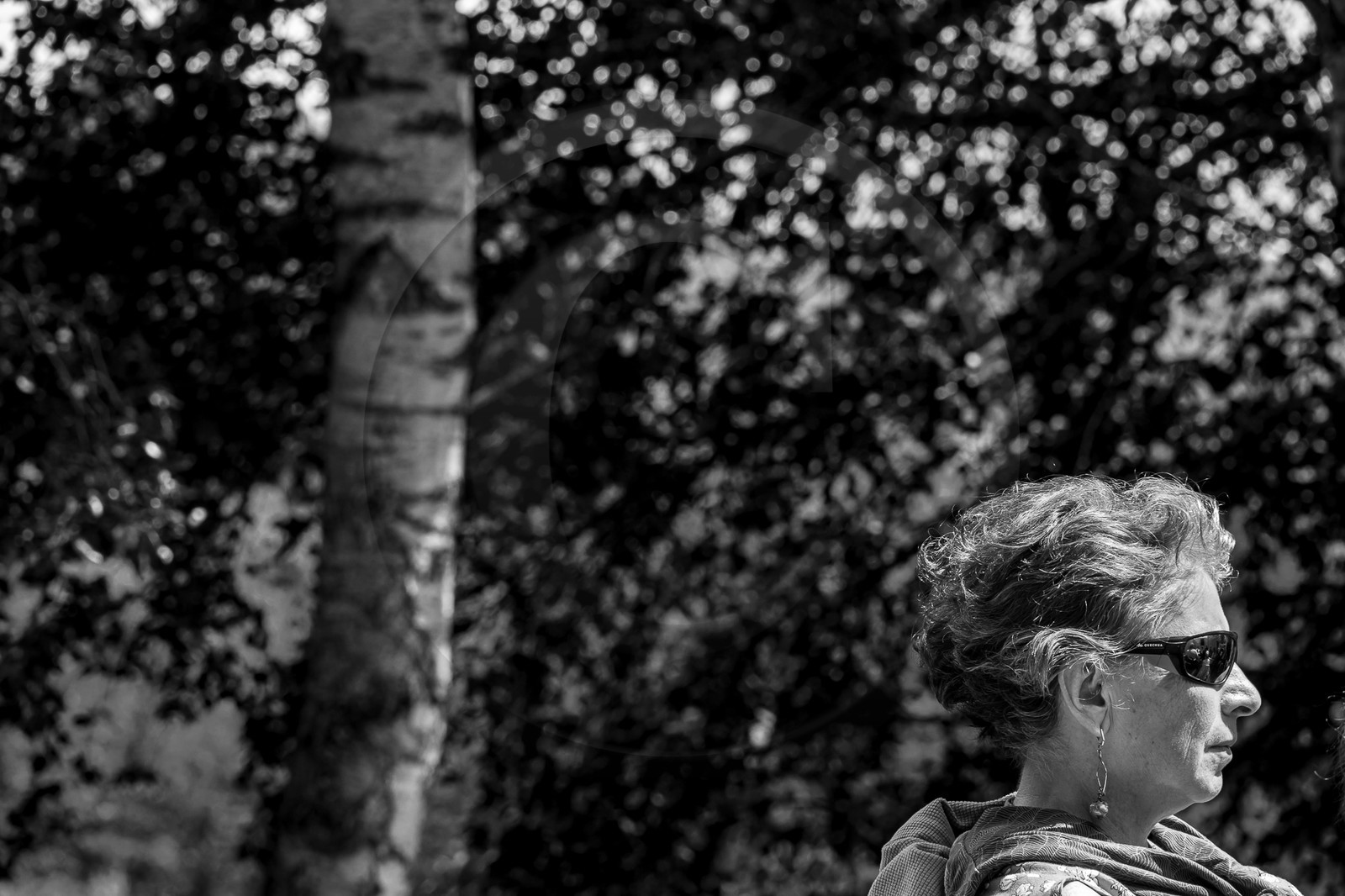 14 juin 2023 : Philippe Séranne et David Aubaile