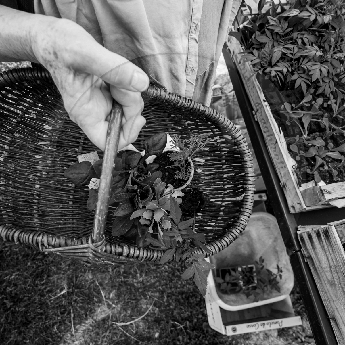 22 mai 2022 : Vide-Jardin