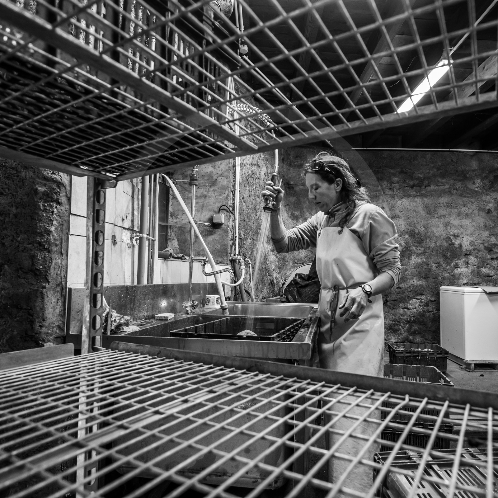 Maraichage biologique dans le Champsaur