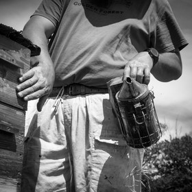 Visite au Rucher des Noisetiers