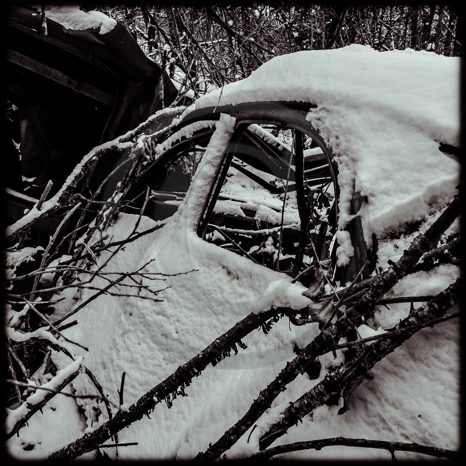Un cimetière de voitures