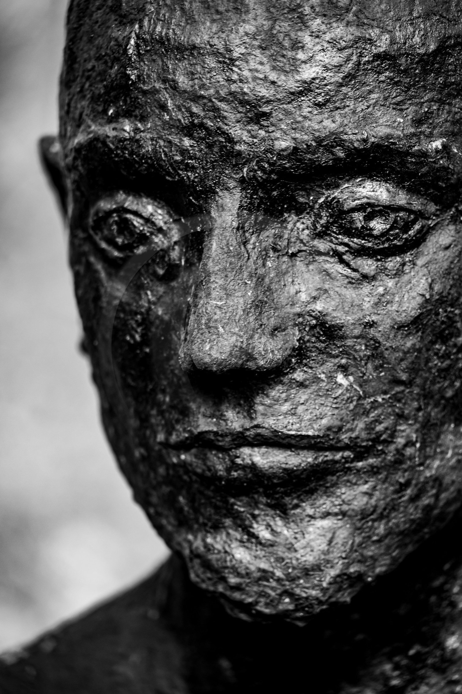 Exposition La forêt d'hommes, une création de Barbara Fougnon, artiste plasticienne