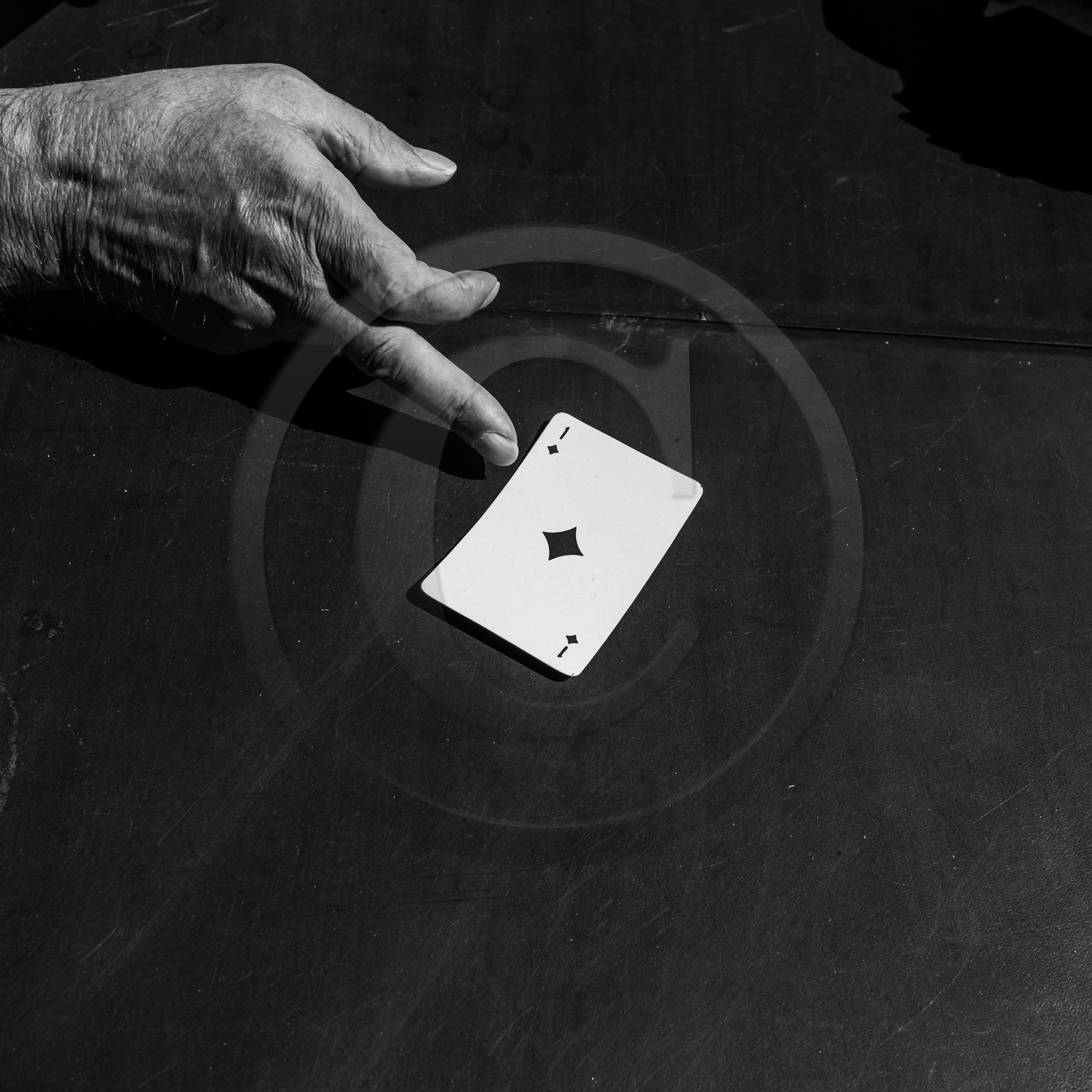 Activités au jardin