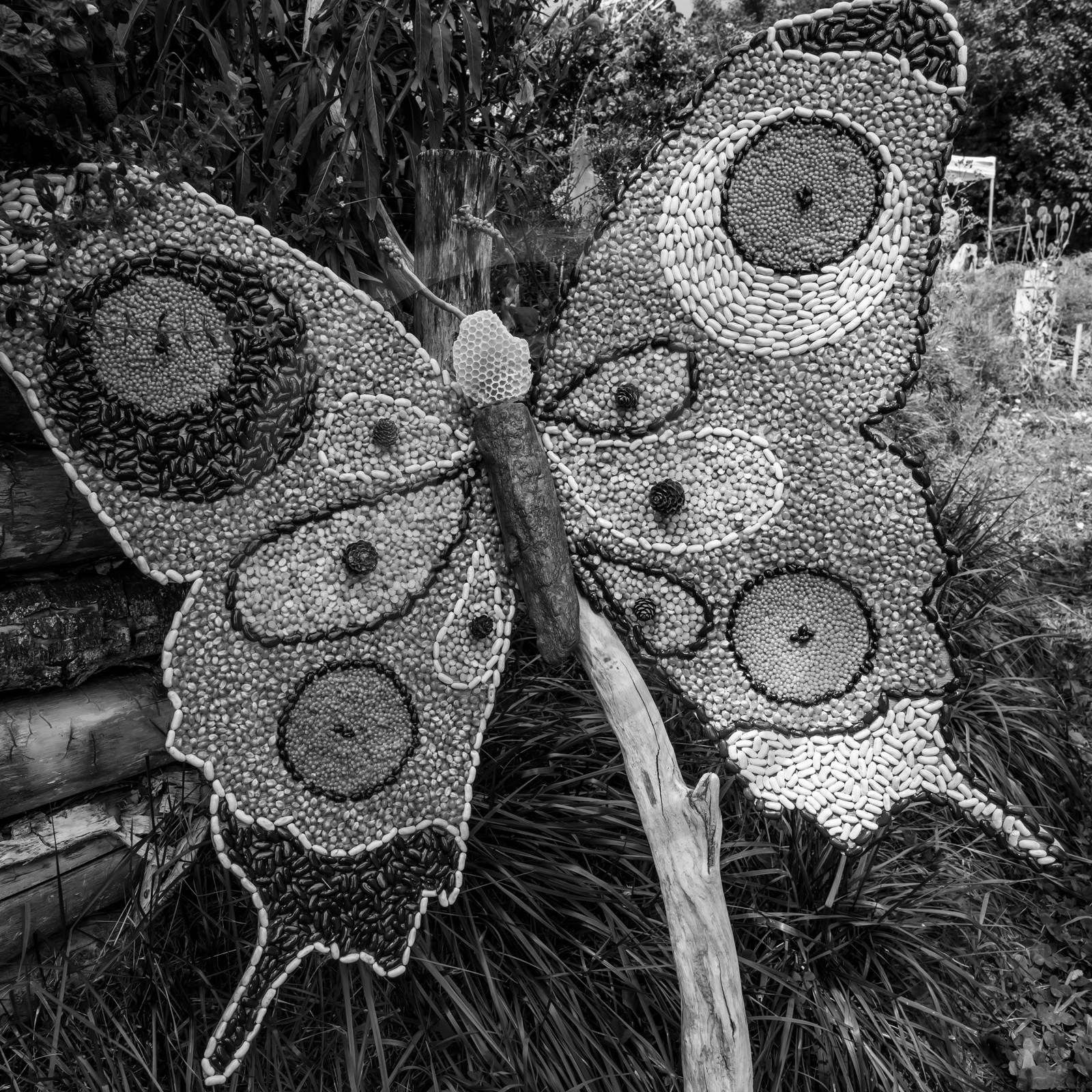 08 septembre 2021 : des jeux et des aménagements au jardin