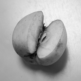 03 avril 2019 : Initiation à la greffe d'arbres fruitiers