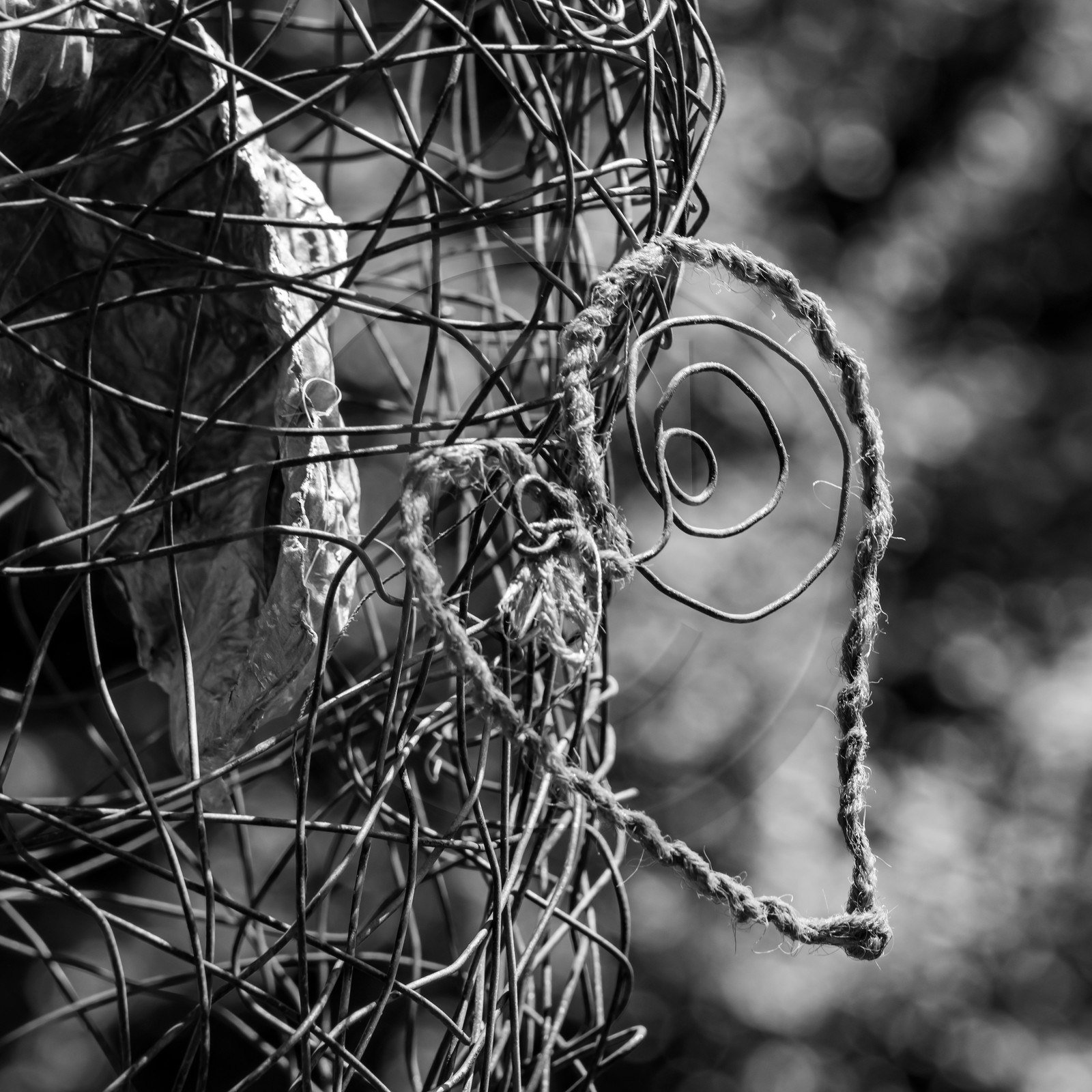 28 juillet 2021 : des jeux et des masques