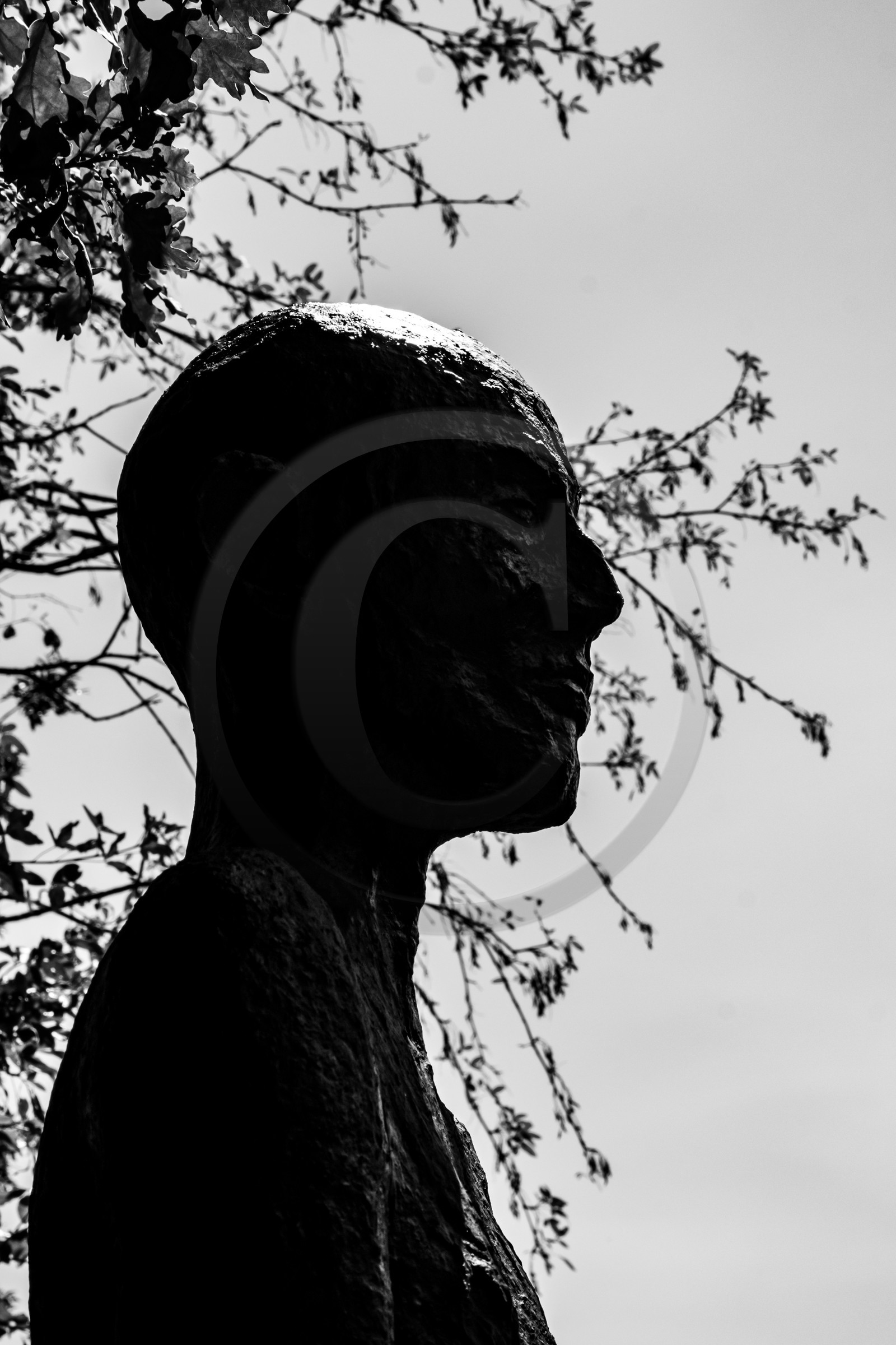 Exposition La forêt d'hommes, une création de Barbara Fougnon, artiste plasticienne