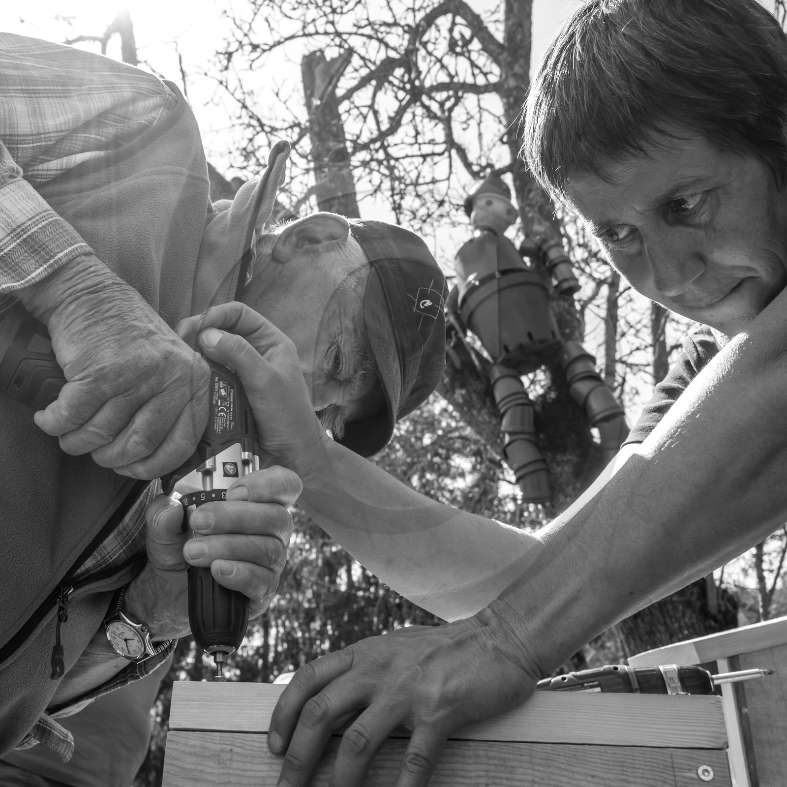 Fabrication de Nichoirs