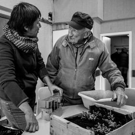 Atelier repiquage et semis - 26 04 2017