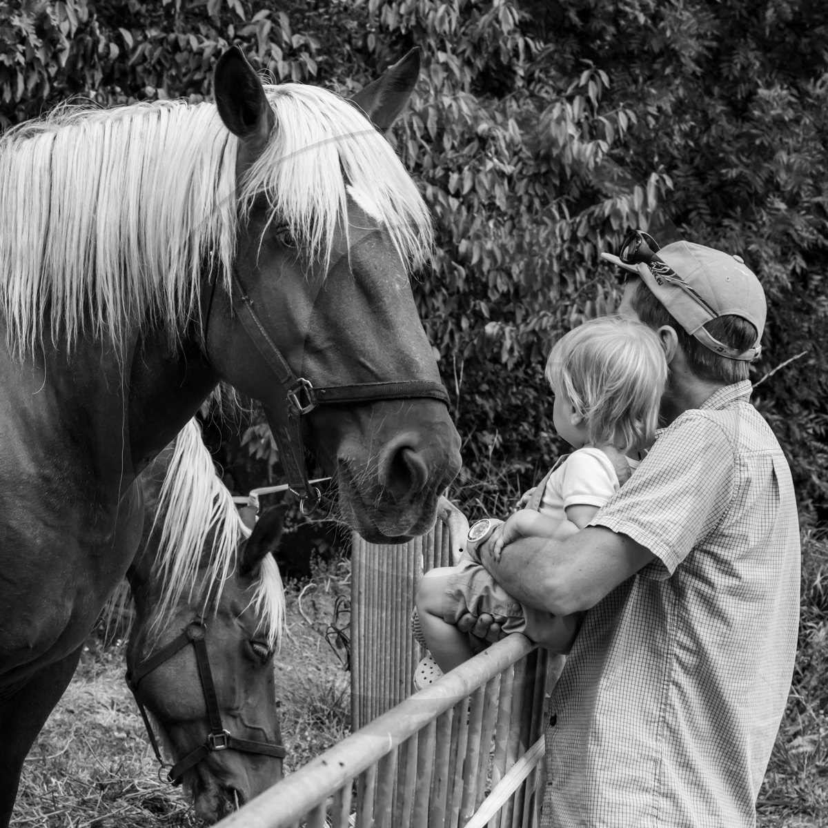 Jeanne Bleuse - Festival de Chaillol