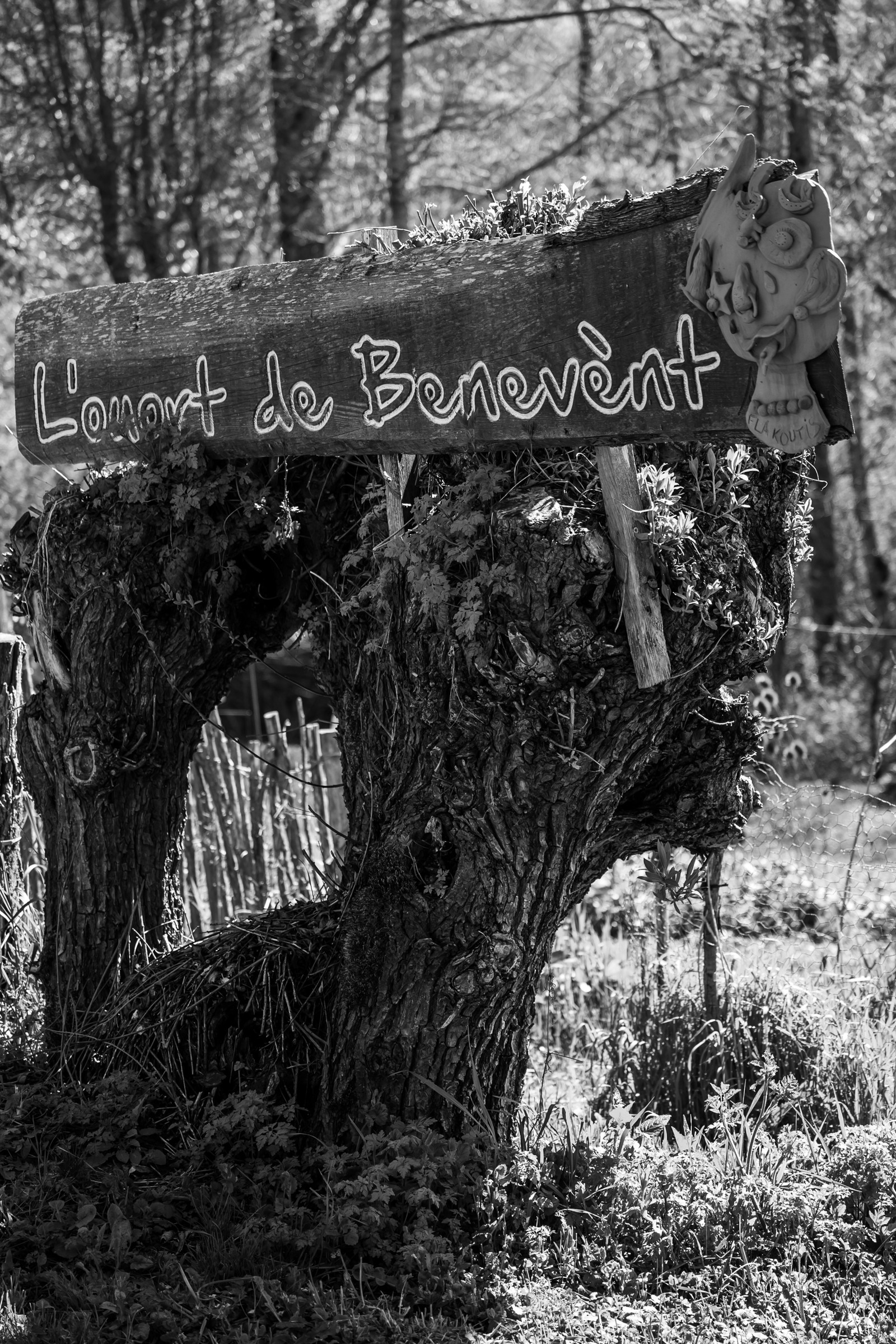 25 avril 2025 : Journée des Aidants